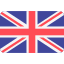 Language switcher flag